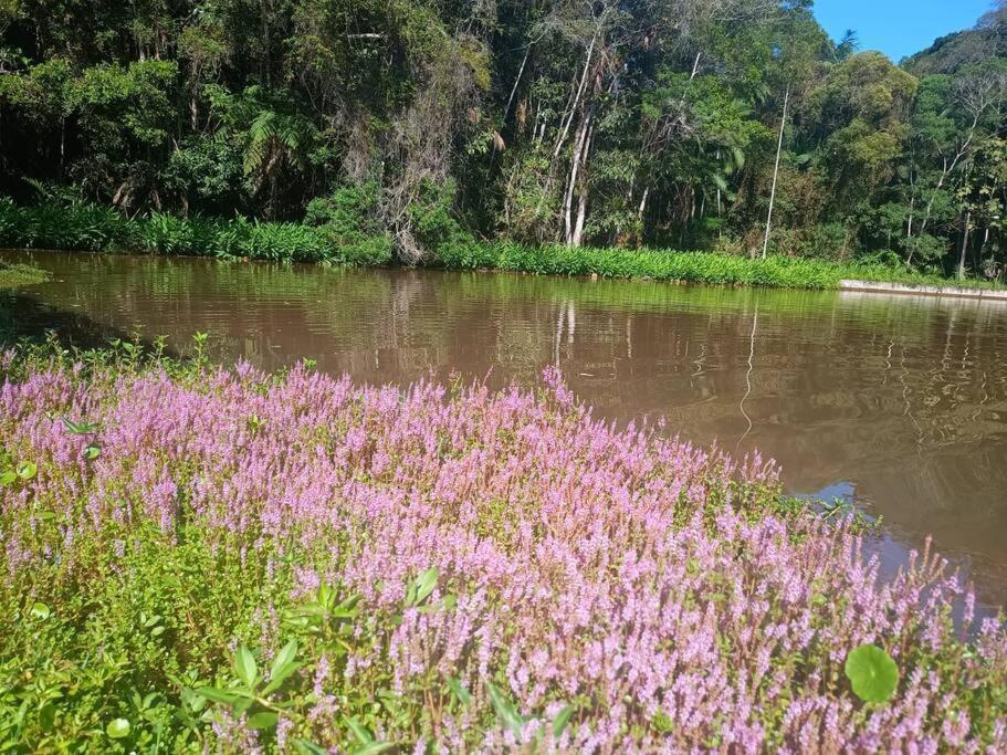 Sitio Paraiso Verde Juquitiba Exteriör bild
