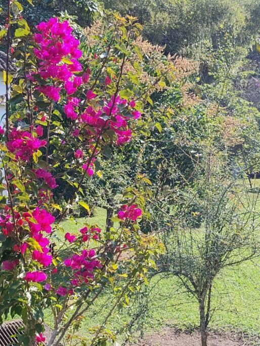 Sitio Paraiso Verde Juquitiba Exteriör bild